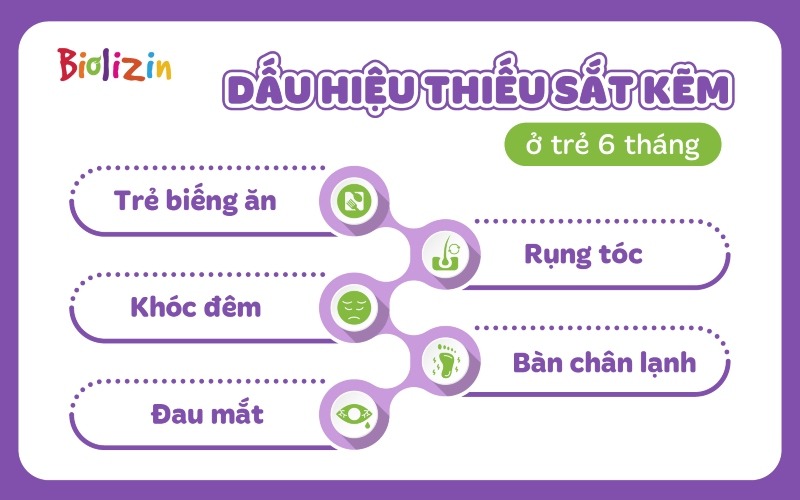 bổ sung sắt kẽm cho bé 6 tháng infographic 1