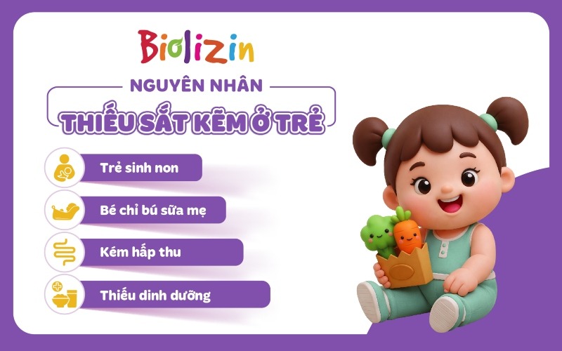 bổ sung sắt kẽm cho trẻ 6 tháng infographic 2