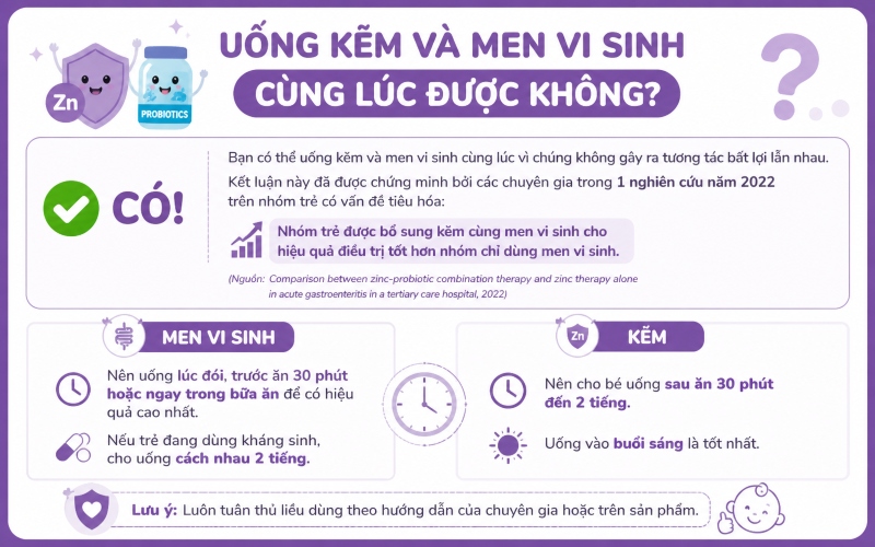 uống kẽm và men vi sinh cùng lúc được không 2