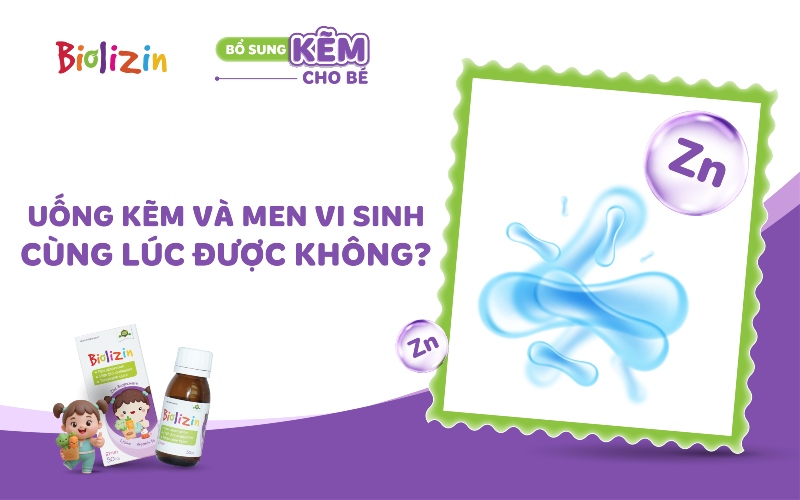 uống kẽm và men vi sinh cùng lúc được không thumb