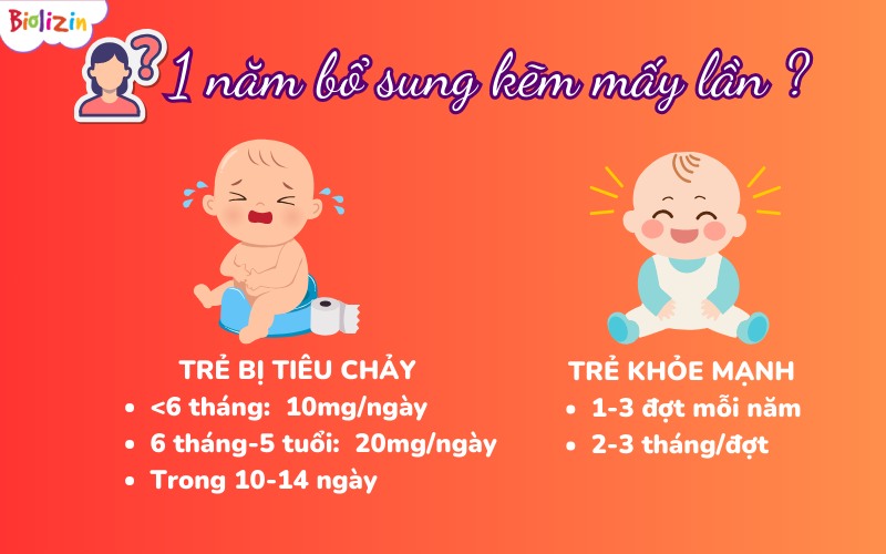 1 năm bổ sung kẽm mấy lần 2