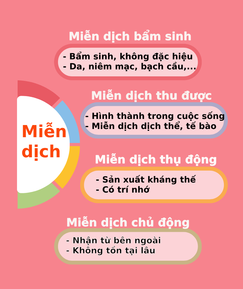 Có mấy loại miễn dịch 2