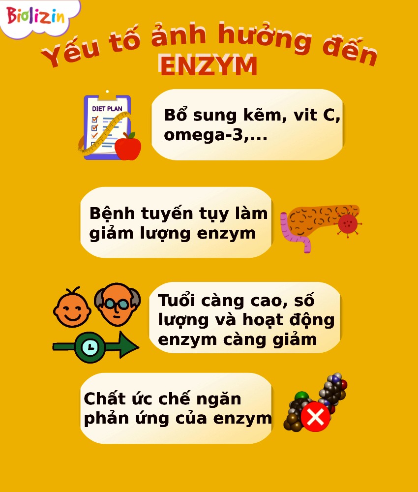 Enzyme tăng đề kháng cho bé là gì? Mẹ đã biết chưa 3