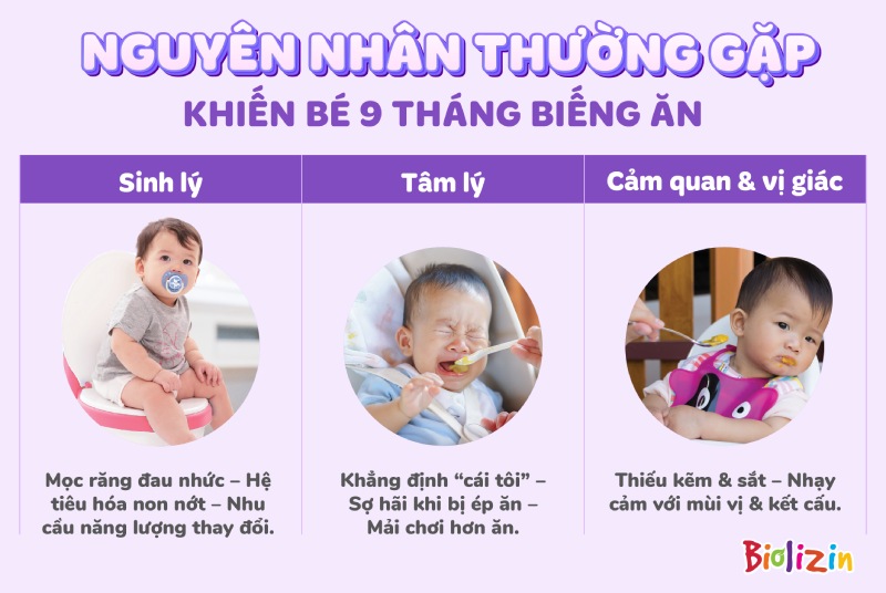 Thấu hiểu nguyên nhân bé 9 tháng biếng ăn