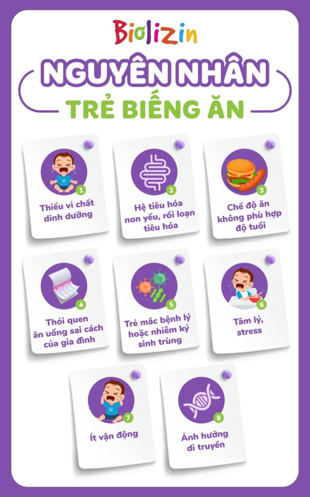 Nguyên nhân trẻ biếng ăn infographic