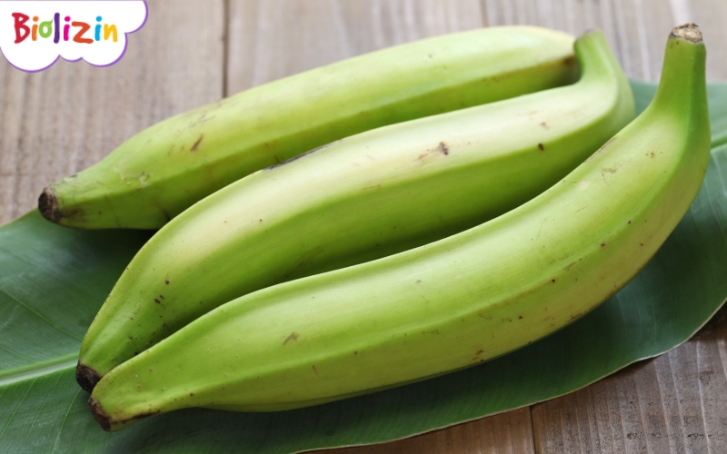 cách chữa đi ngoài phân sống bằng dân gian 4