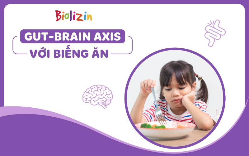 Gut brain axis với trẻ biếng ăn thumb_