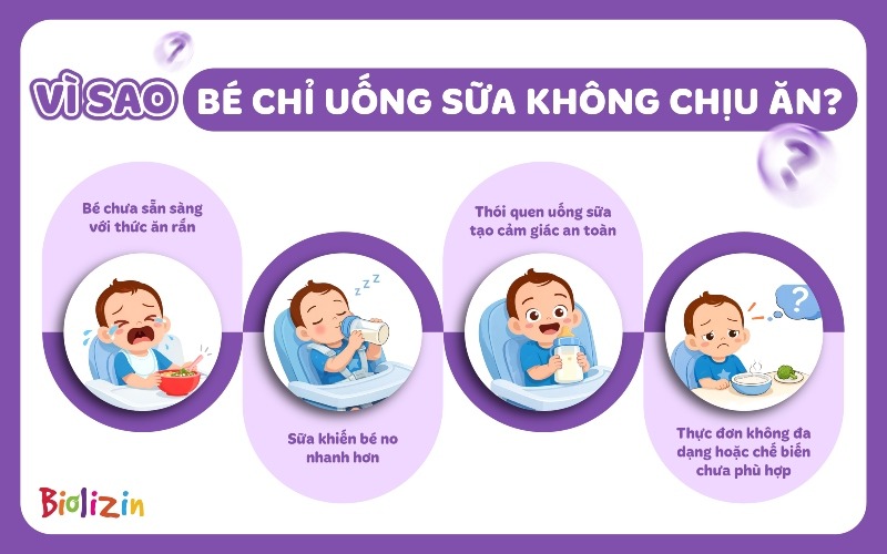 Bé không chịu ăn chỉ uống sữa phải làm sao 1