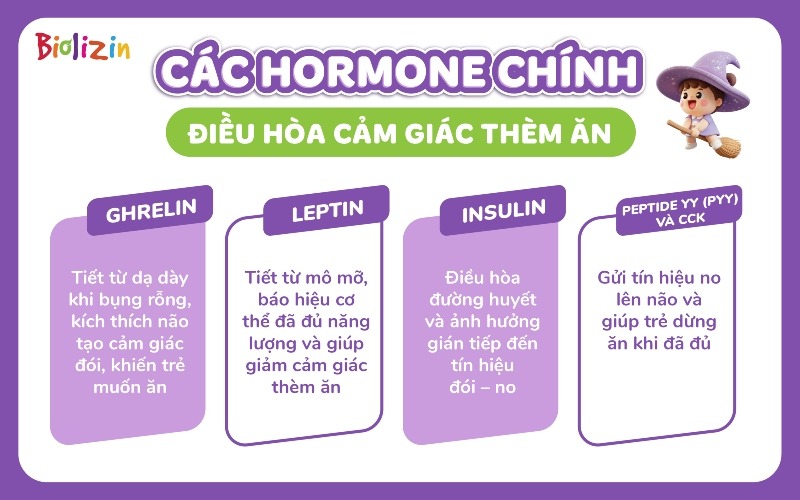 cảm giác thèm ăn infographic 1