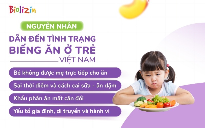 tình trạng biếng ăn ở trẻ em Việt 2