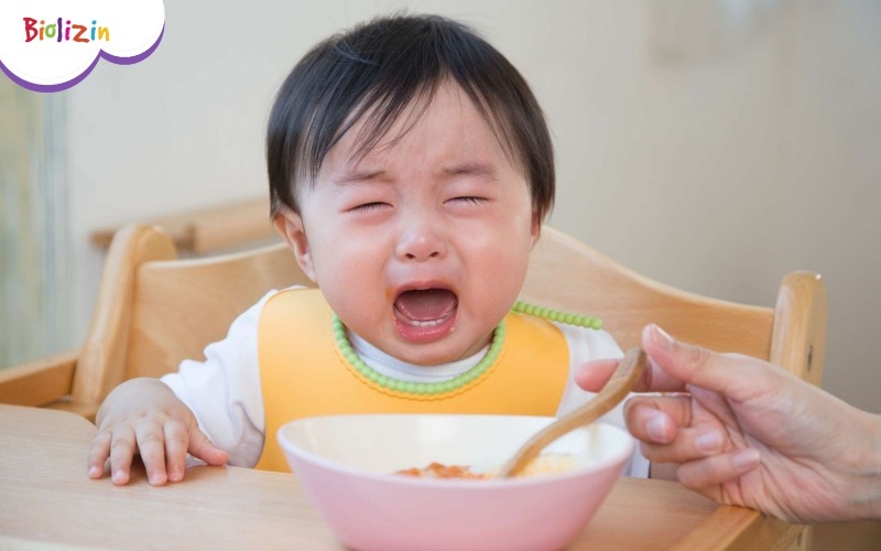 trẻ 5 - 8 tuổi biếng ăn 1