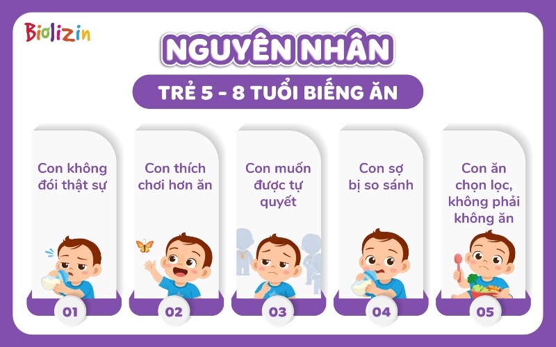 trẻ 5 - 8 tuổi biếng ăn infographic 2