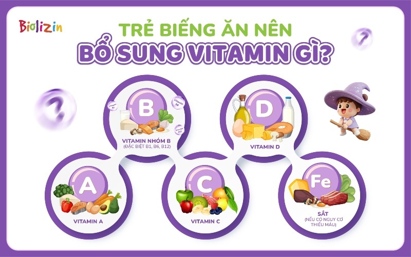 Vitamin cho trẻ biếng ăn infographic 2